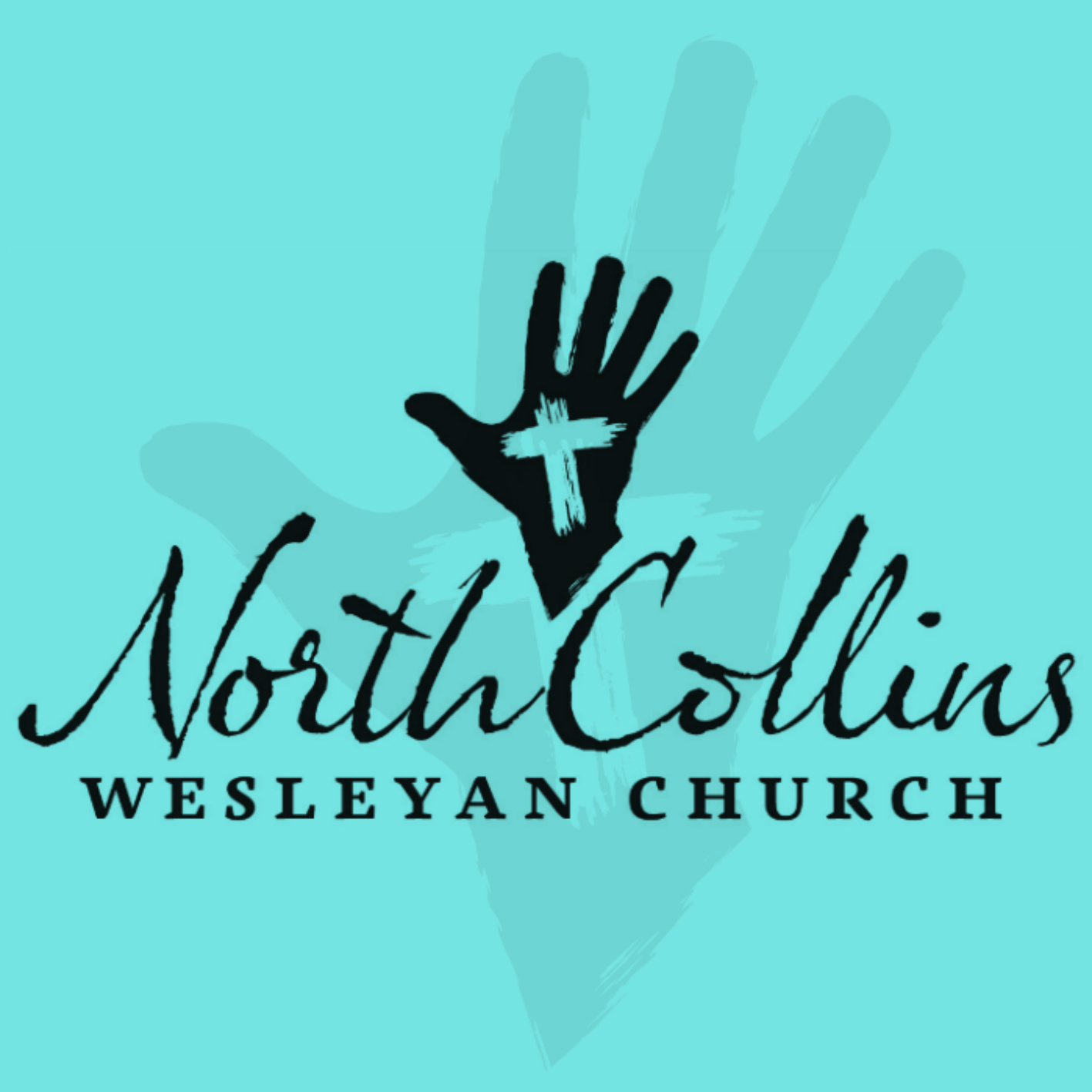North Collins Wesleyan Church